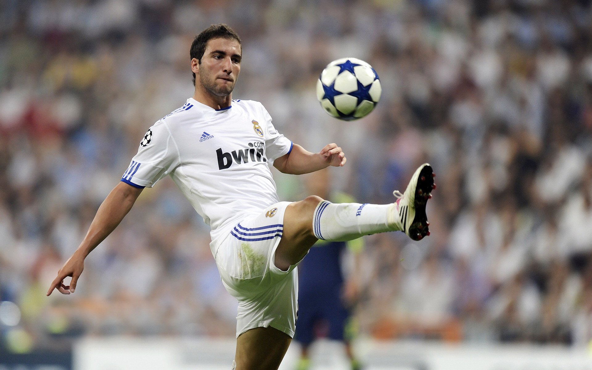 赛事现场：最精彩的观众互动，赛场观众席